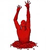 'i'