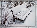 В парке зимой