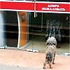 или Посторонним в