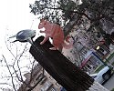 Ужгород. Проспект Независимости