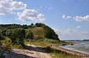 Пейзаж с коровами
