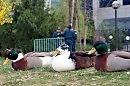 Трое