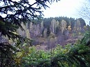Осенняя картинка