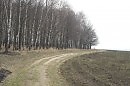 На краю леса
