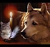 Рожденному летать