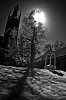IR Wörlitzer Park #6