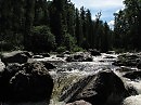Таёжная речка