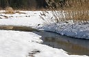 Бабушке Прасковье