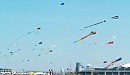 Фестиваль воздушных змеев