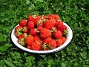 Вкуснятина