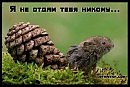 Я никто, она всё