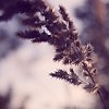 Меланхолия (Дубль 2)
