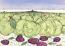 PLUMS_AND_PEARS-ЯБЛОКИ_И_СЛИВЫ