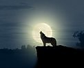 Unforgiven II orchestral
