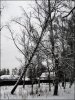 держи меня