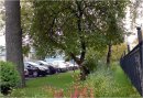 Кусочек Природы