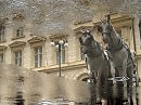 Лужные кони