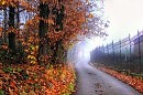 Равнодушная строгая осень