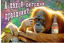 Пионеры.
