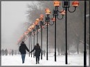 Я разрешу обнять.... (виланель)