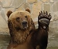 ПОДРАЖАНИЕ  lar472008   Я не вижу любимых глаз..