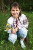 Білі хризантеми