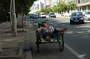 Сиеста в Харбине