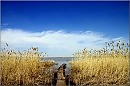 Мостки сквозь осень