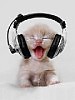 Bad Deejay