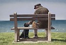 Собака (перевод с итальянского)