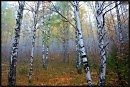 Смеркалось..