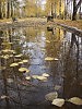 Осень в моём городе.