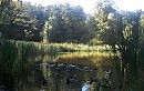 Ранняя осень
