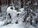 важная особа
