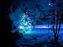 Новогоднее