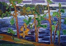 Берег озера.Карелия.