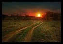 Беги, дорога