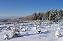 А ведь лето вернется ...