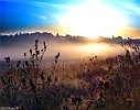 Рассвет