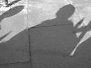 Picture By The Shadow
