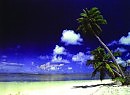The Caribbian dreams(sketch)