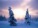 В ИСКРЕННЕМ СНЕГЕ...