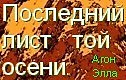 Последний лист  той осени.