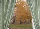 Осiнь