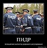 ПИДР (полицейский инспектор дорожного регулирования)