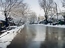 Мартовский сон