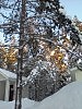 на карновале