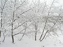 Вчера ещё стояли лужи...