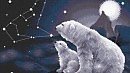 Звёздный дождь