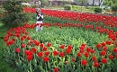 У БОЛЬШОГО ТЕАТРА   муз. Эльмира